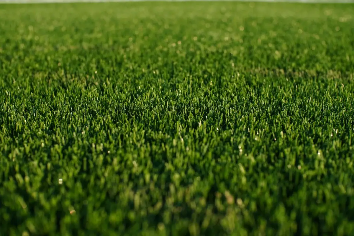 Artificial grass installation for low maintenance garden landscaping